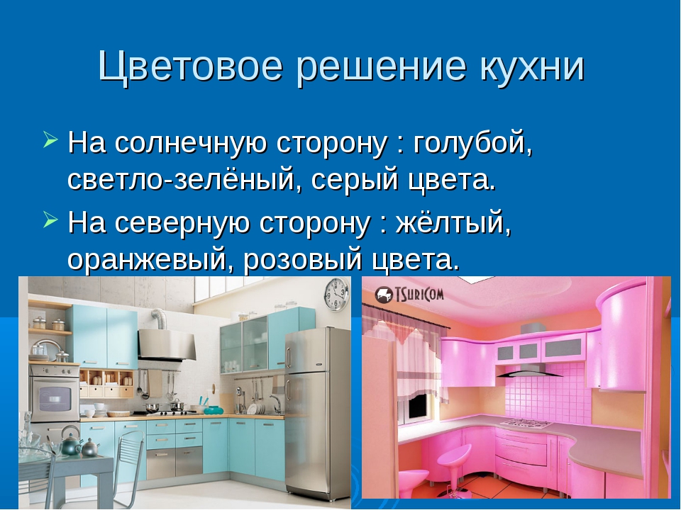 Проект Кухни Технология 5 Класс