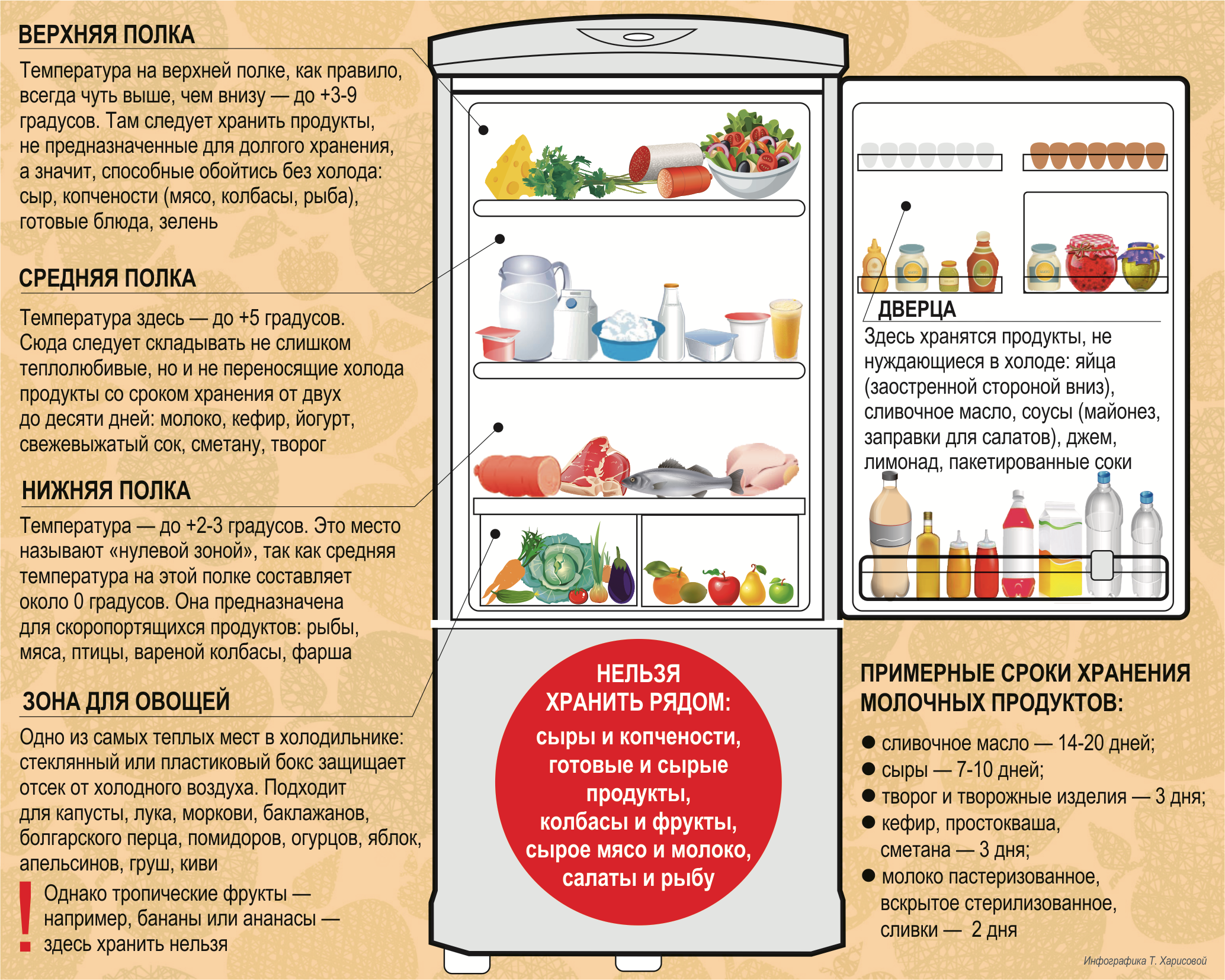Как правильно и на каких полках хранить продукты в холодильнике, схемы организации