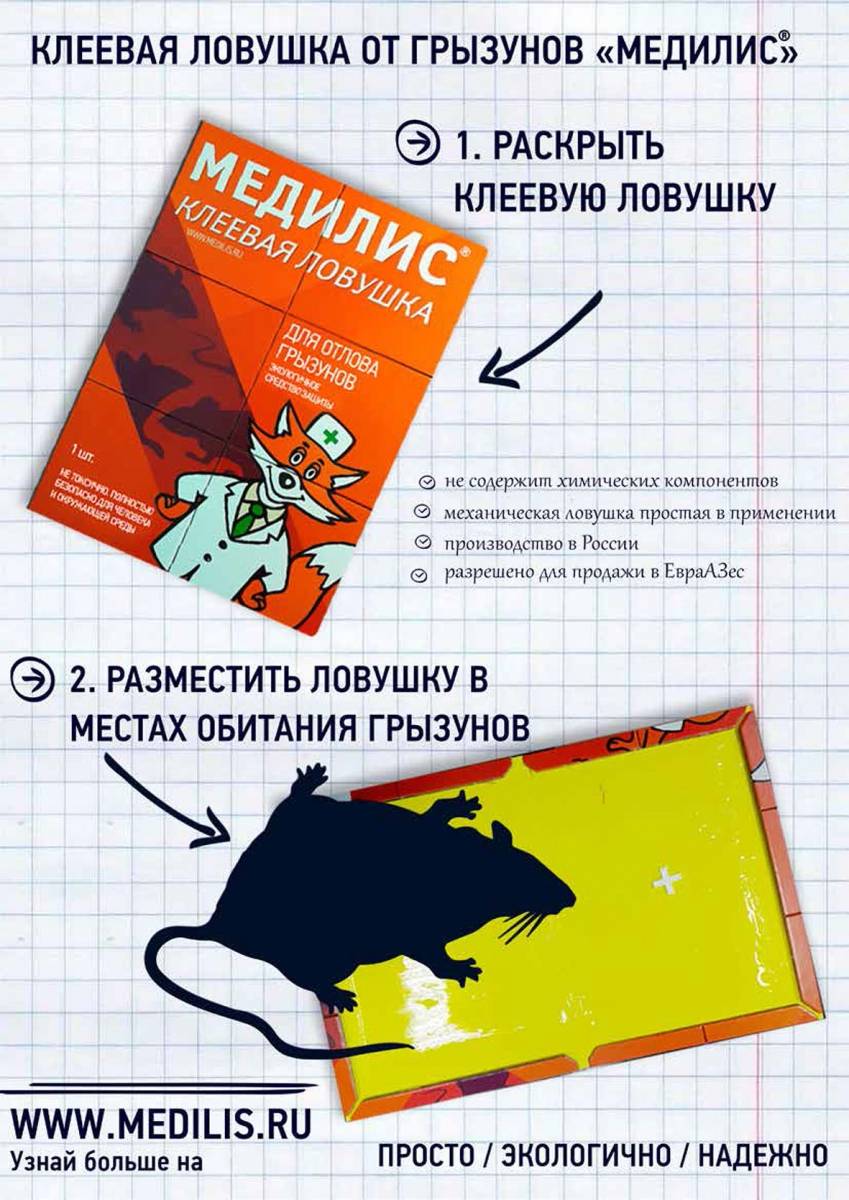 Клей для мышей или клеевая ловушка для мышей, лучшие приманки