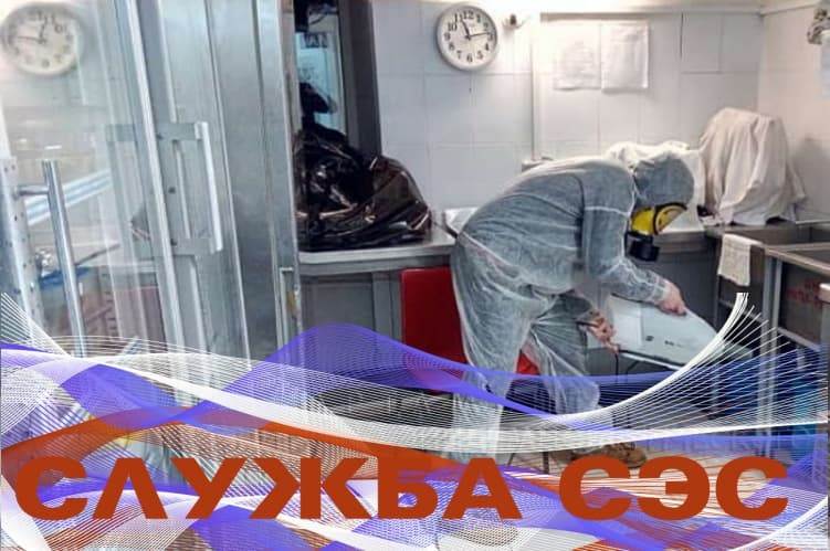 Основные функции санэпидемстанции, и какие услуги предоставляет сэс