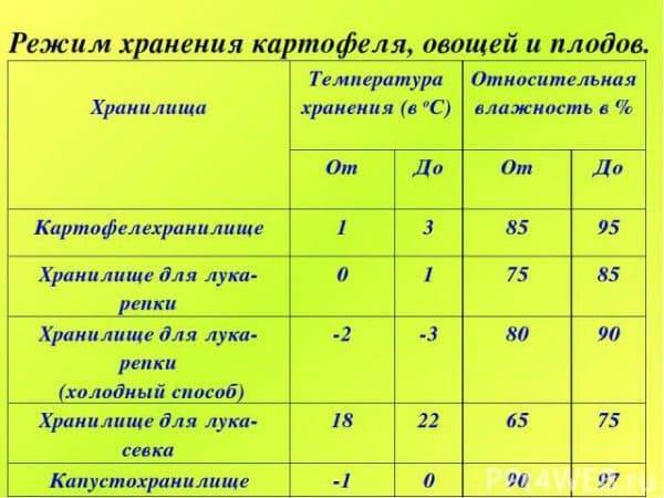 Как хранить лук-порей