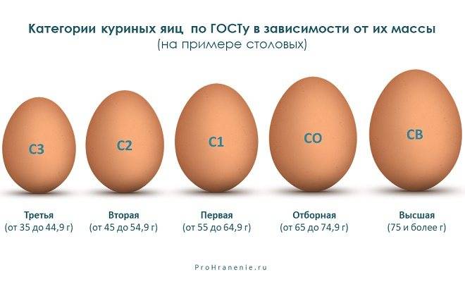 Сколько дней можно хранить яйца