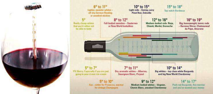 Срок годности вина: сколько можно хранить открытое и в пластиковых бутылках?