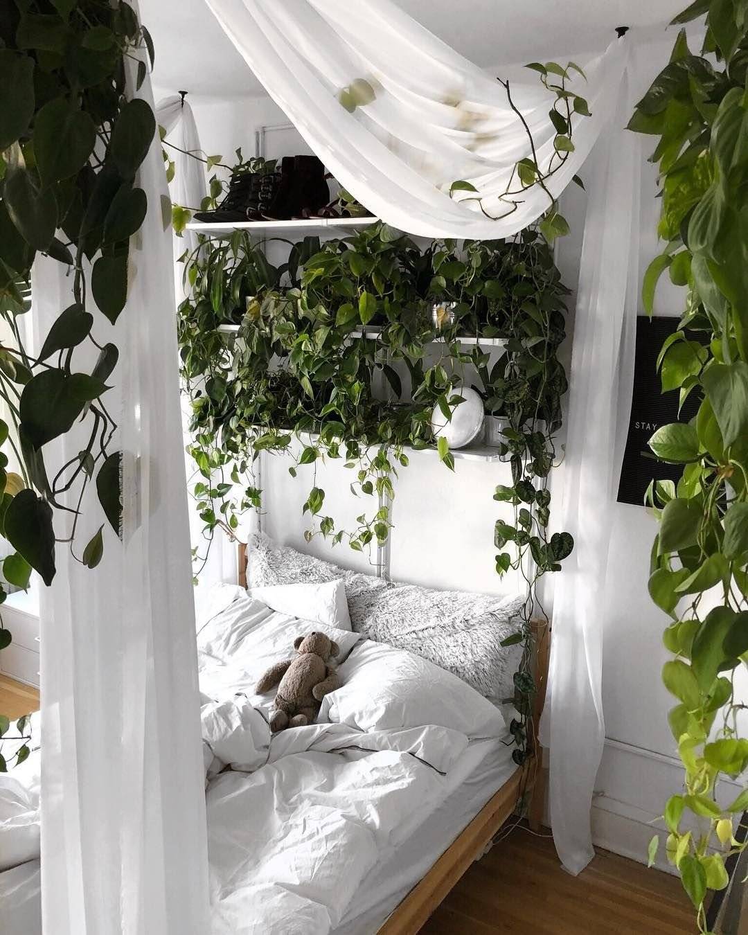 Растения для спальни