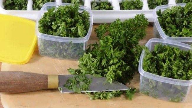 Как сохранить зелень в холодильнике, чтобы оставалась свежей: описание способов