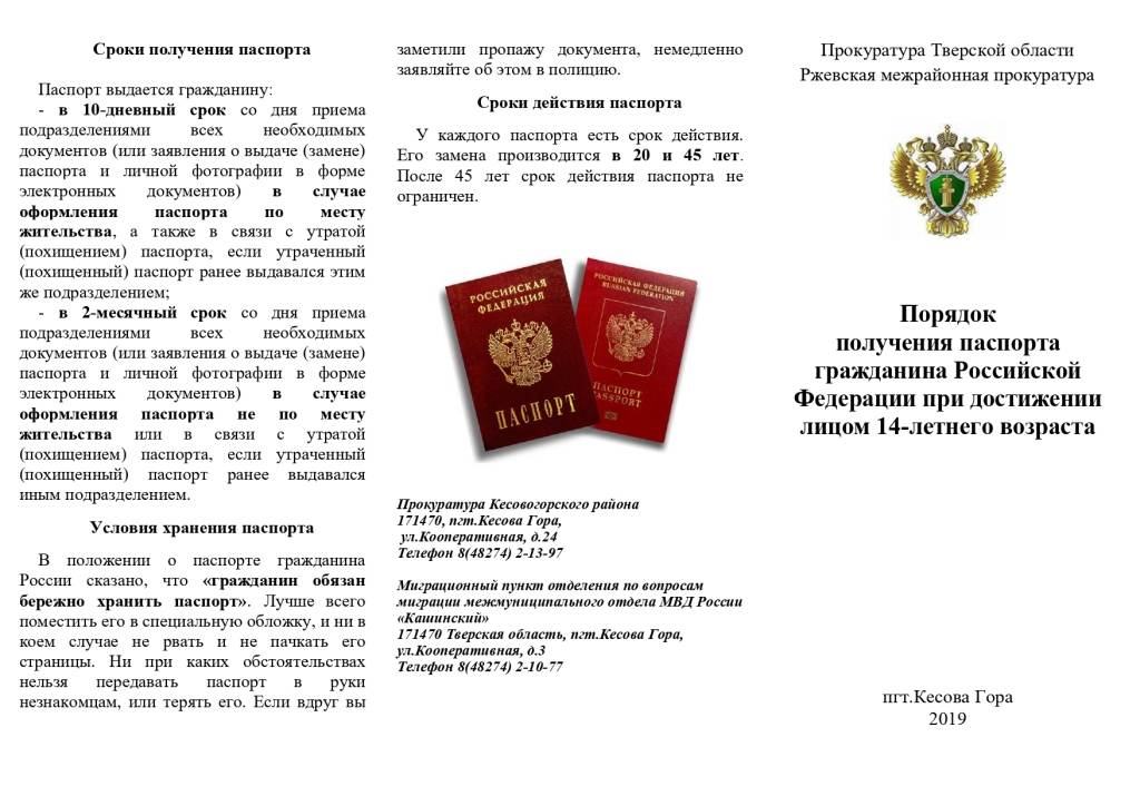 Получение паспорта в 14 лет через мфц: все аспекты процедуры