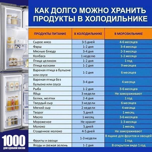 Как хранить капусту в холодильнике: способы, сроки и условия, рекомендации
