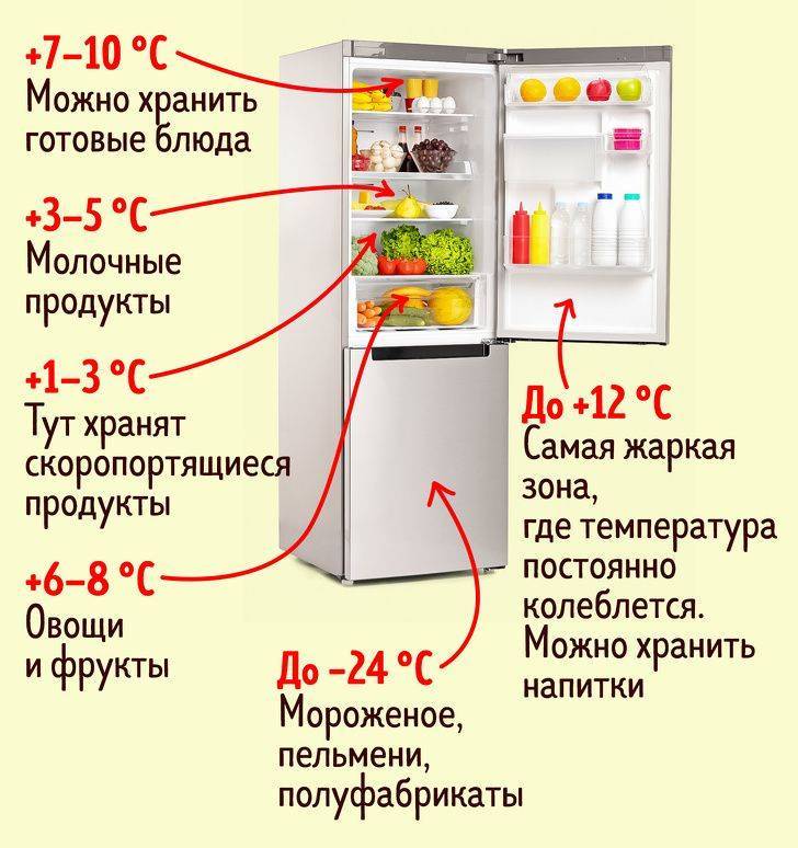 Инкубационное яйцо утки