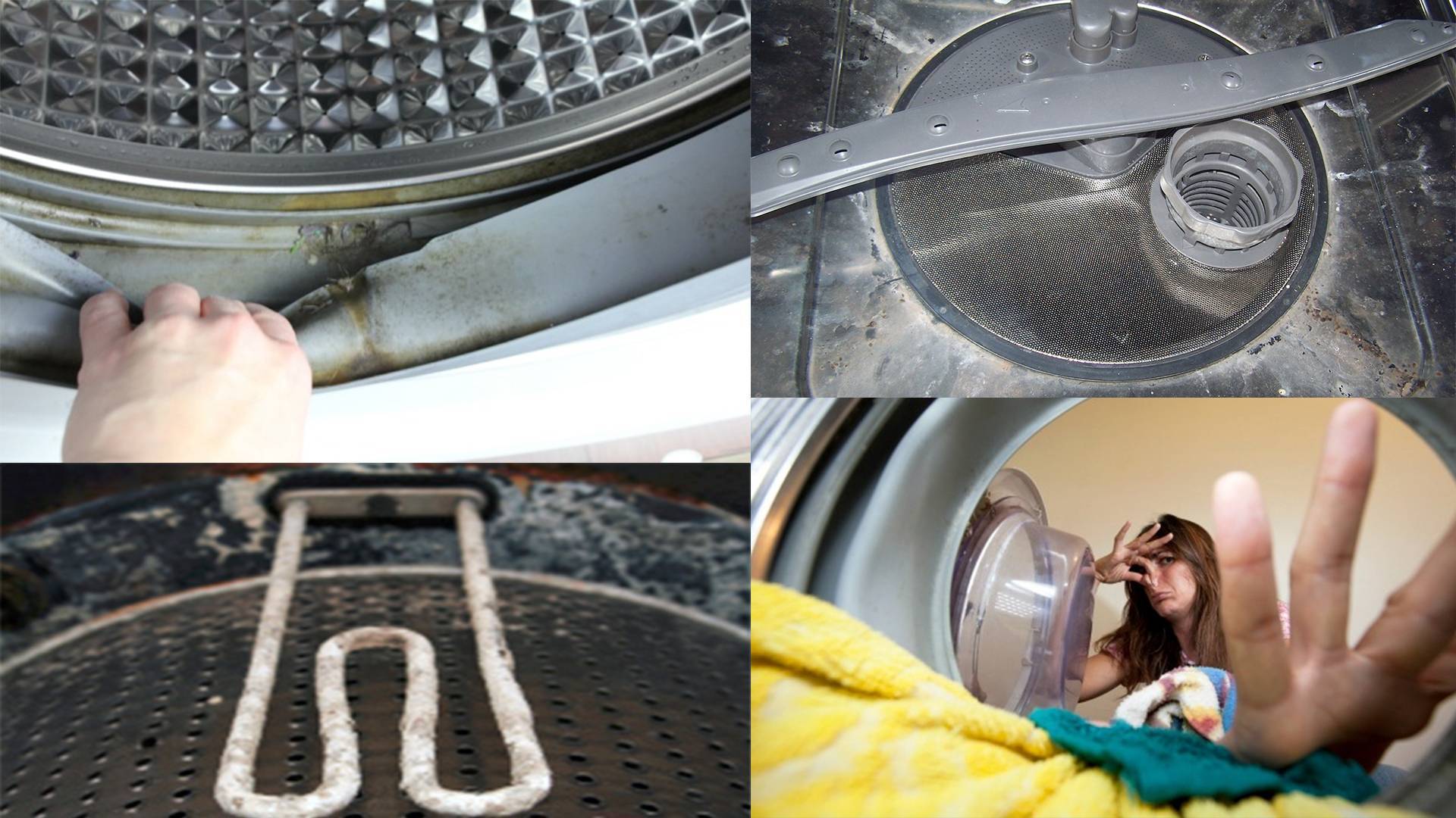 Как убрать неприятный запах из стиральной машины в домашних условиях