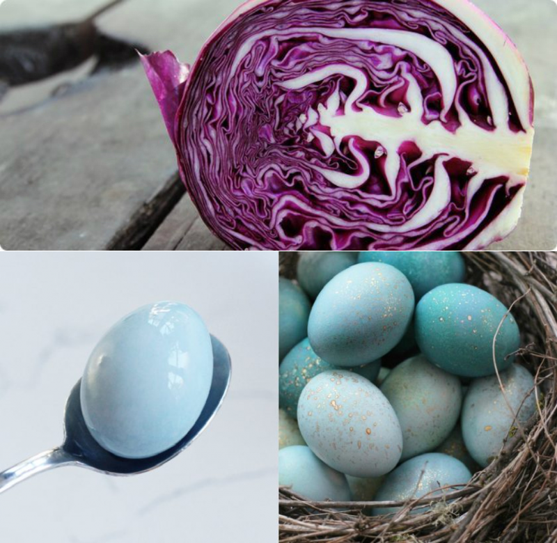 Как покрасить яйца — все методы, видео, советы