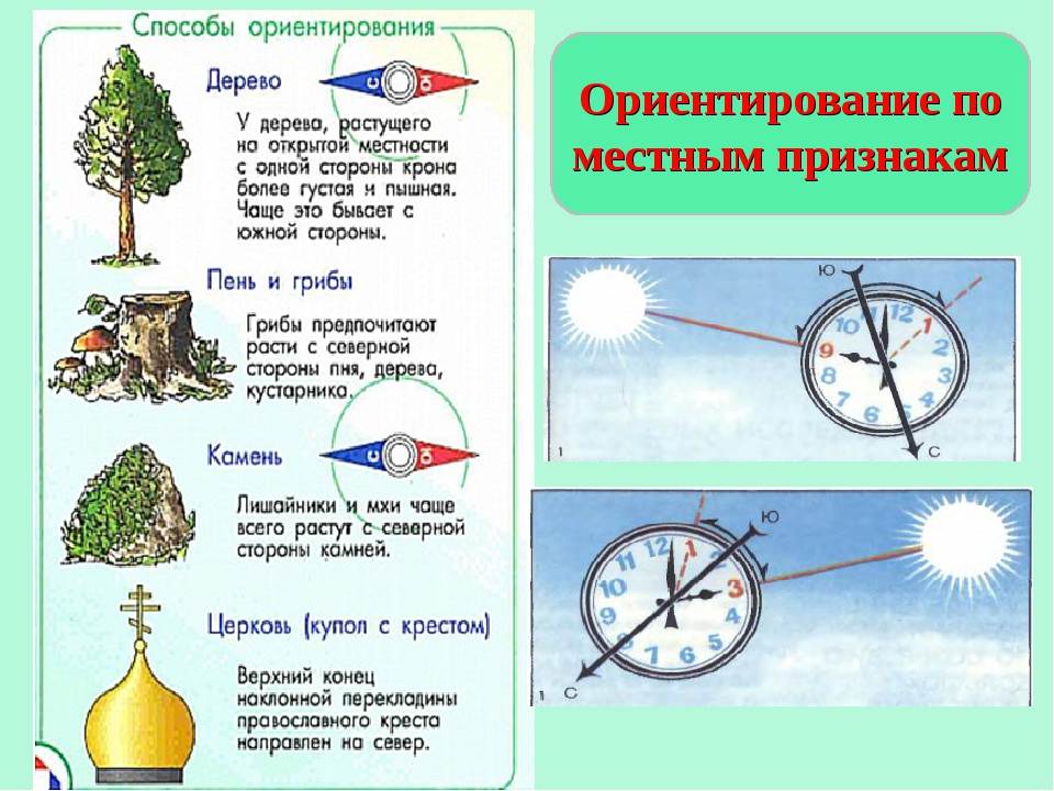 Как определить стороны горизонта на плане местности