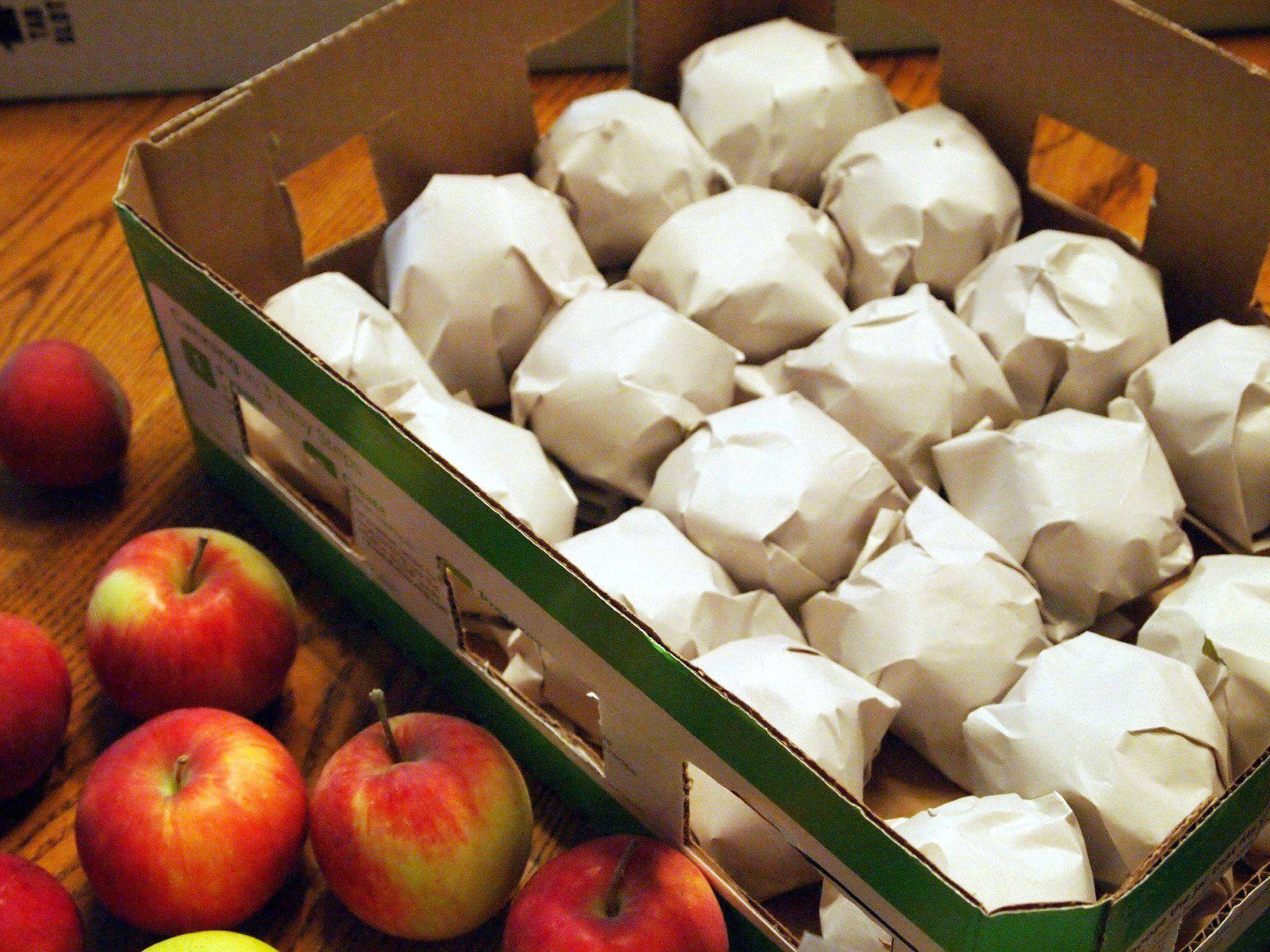 Когда собирать яблоки на хранение на зиму? | садоёж