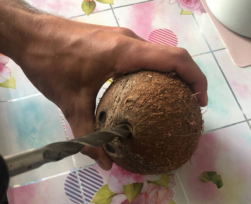 Топ 3 лучших способа как очистить кокос легко в домашних условиях