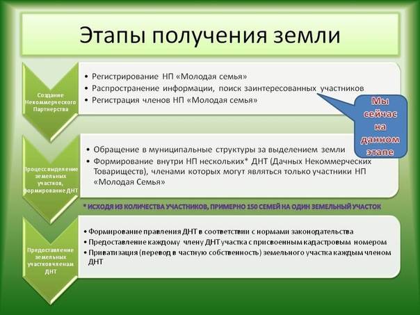 Как получить землю молодой семье. Заявление на получение земельного участка молодой семье. Как получить участок молодой семье.