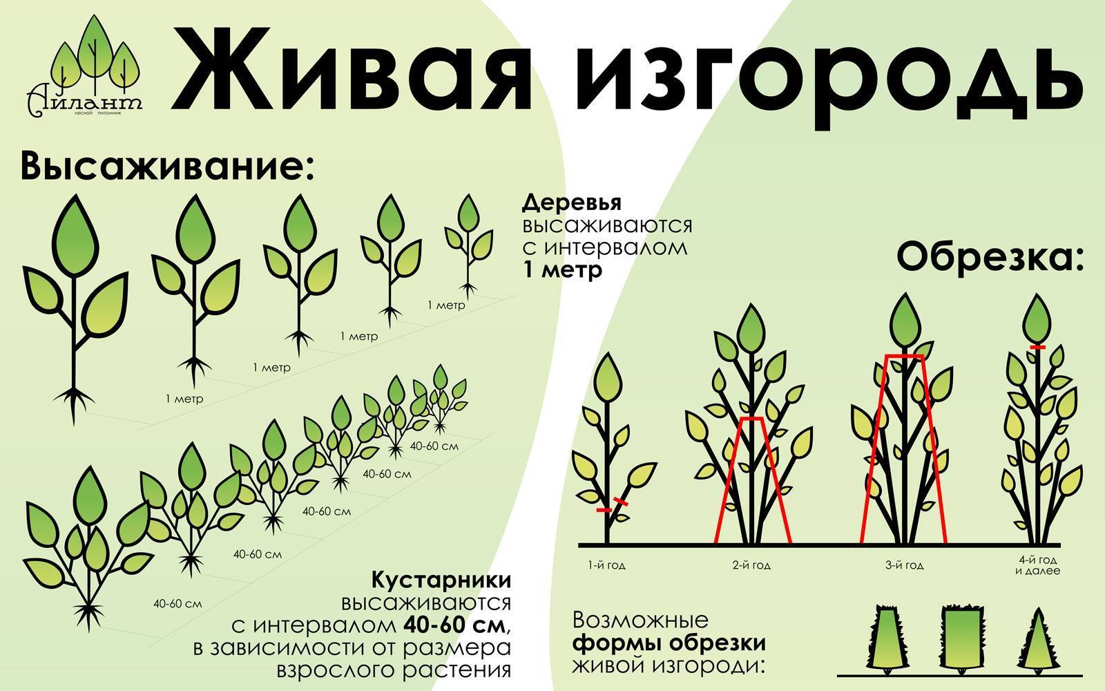 Выберите растения для тех