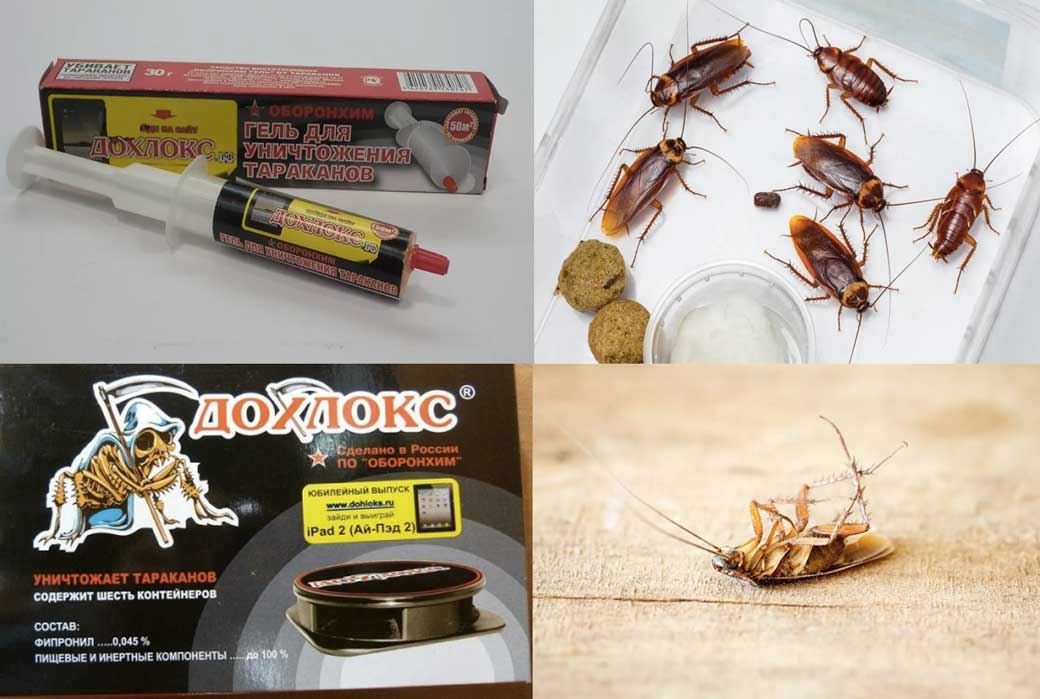 Самое эффективное средство от тараканов – рейтинг отравляющих веществ