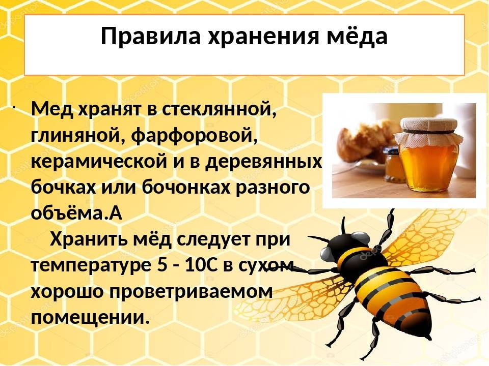Как хранить мед: сколько можно, в чем и где, оптимальные условия, способы для разных сортов продукта