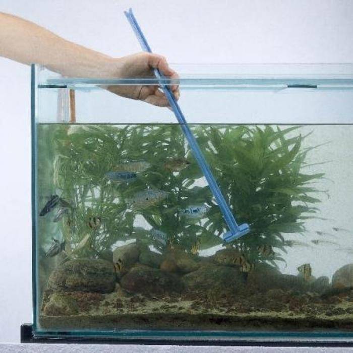 Как легко очистить аквариум в домашних условиях