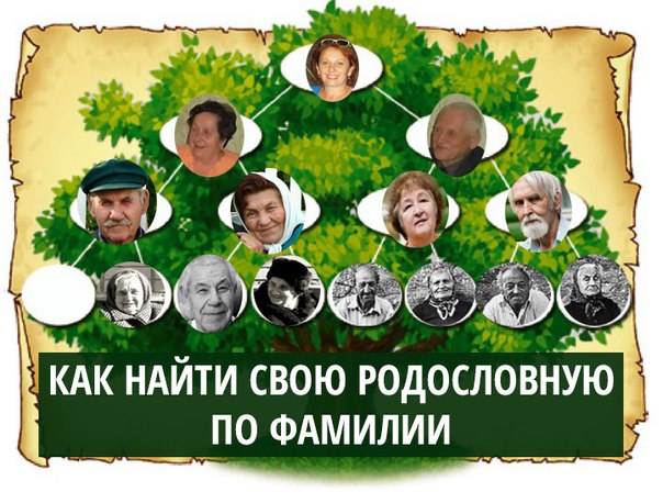 Найти родных. как пользоваться сайтами по поиску предков | общество | аиф аргументы и факты в беларуси