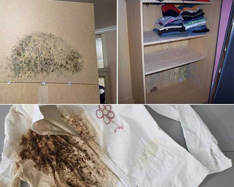 Как избавиться от неприятного запаха в шкафу с одеждой