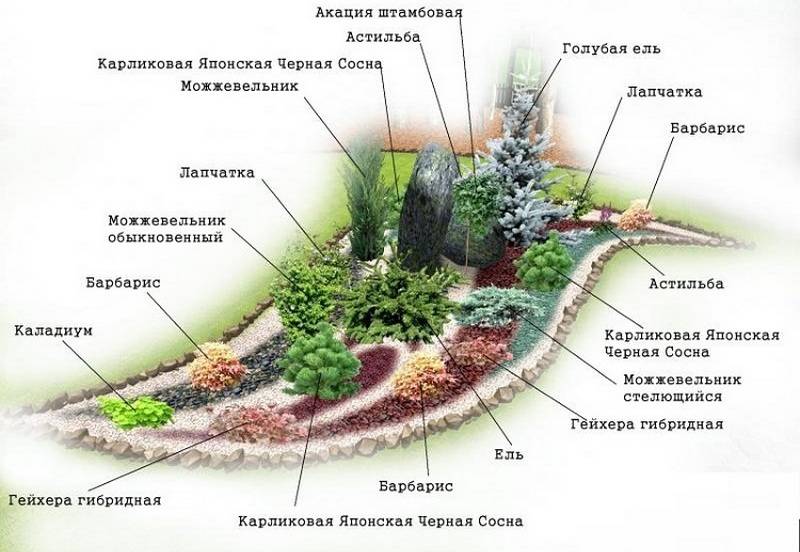 Альпийская горка своими руками схема