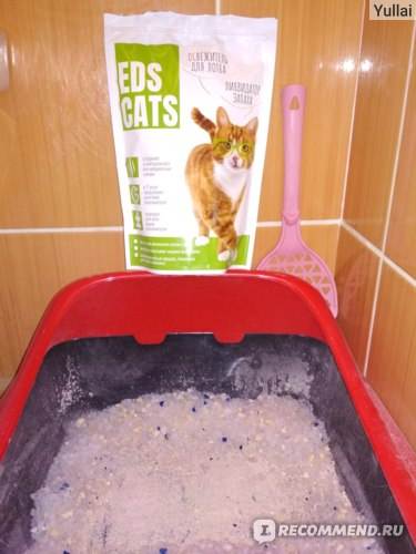 Как убрать кошачий запах в квартире, что делать, если кот пометил в доме, как удалить аромат меток кошки: советы и рецепты