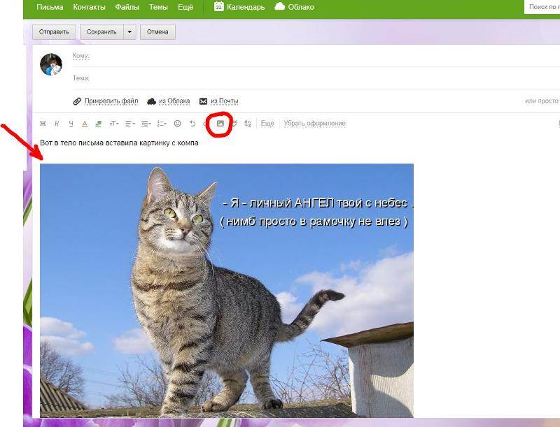 Тело письма. Как вставить открытку в тело письма. Вставить картинку в тело письма. Как поместить картинку в тело письма. Как в теле письма вставить картинку.