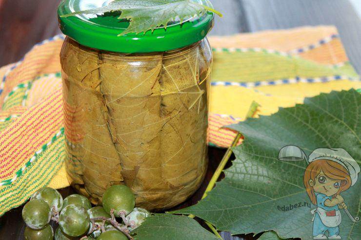 Как мариновать и солить листья винограда для долмы на зиму (рецепт)