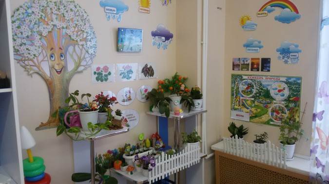 Организация уголка природы в детских садах по фгос