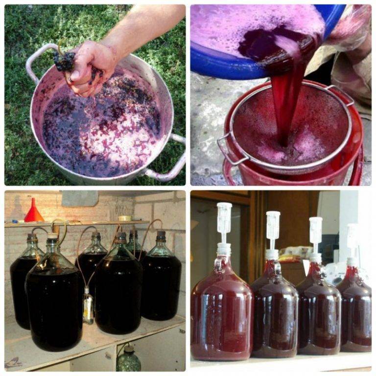 Вино из винограда в домашних условиях. пошаговая технология и рецепт.