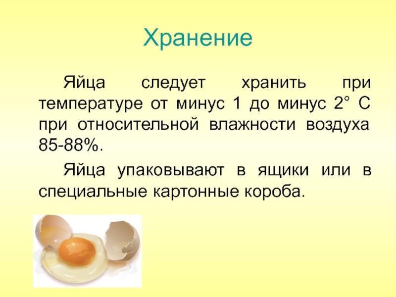 Как хранить яйца куриные в домашних условиях: где, как и сколько