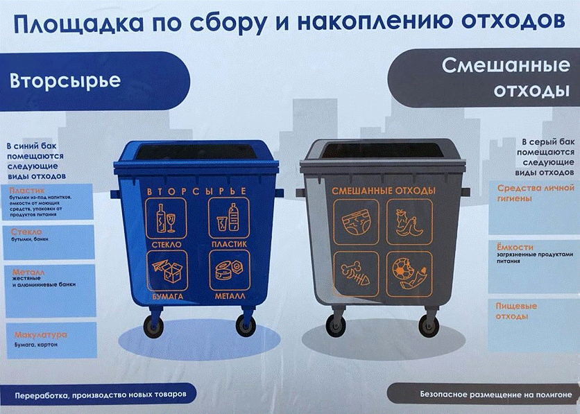 Раздельный сбор мусора: российский и зарубежный опыт