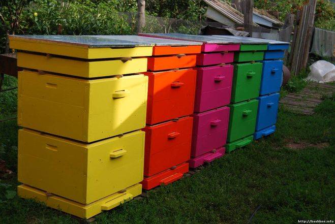 Как правильно окрасить пчелиный улей: виды красок и их особенности