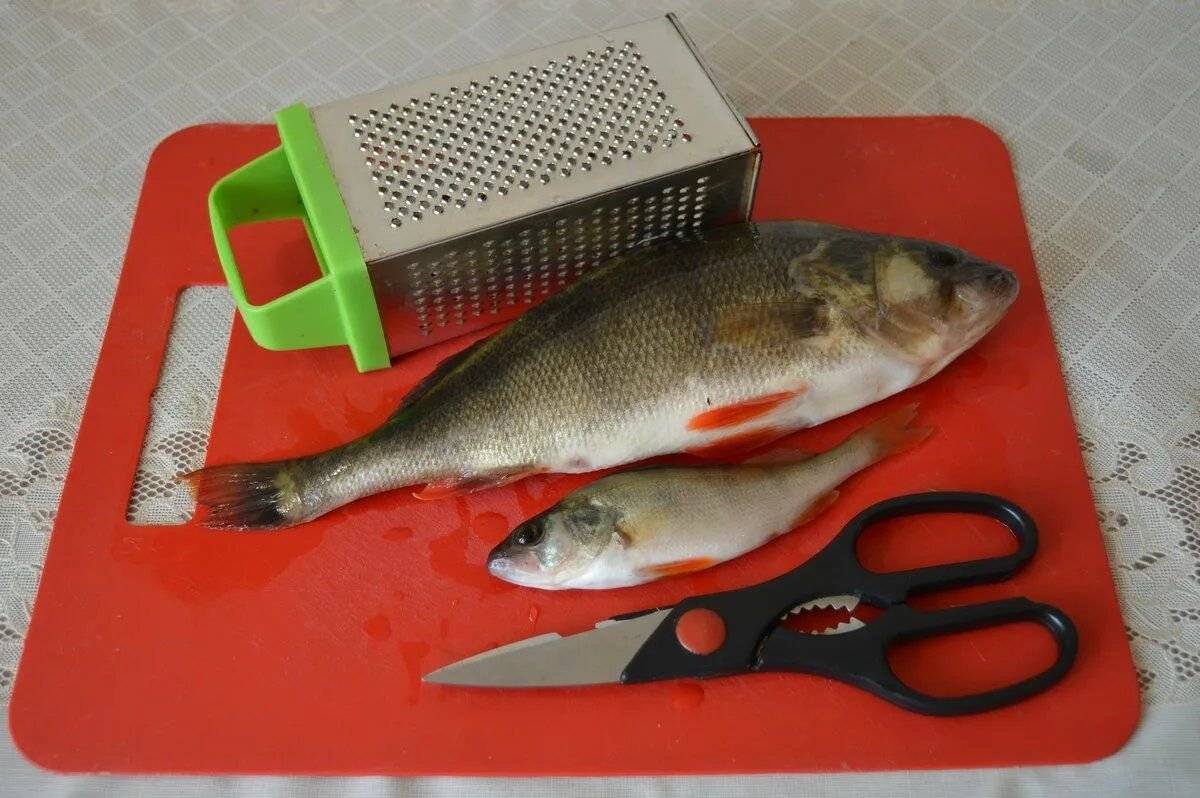 Как отмыть рыбу. Приспособление для чистки окуня от чешуи. Нож для чистки окуня от чешуи. Терка для чистки рыбы.