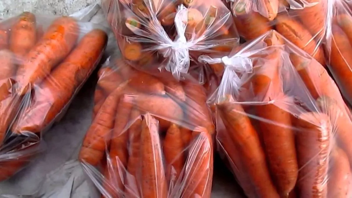Как хранить морковь в квартире. Хранение моркови в полиэтиленовых мешках. Хранение моркови в полиэтиленовых пакетах. Хранение моркови на зиму в пакетах. Хранение моркови в пакетах в погребе.