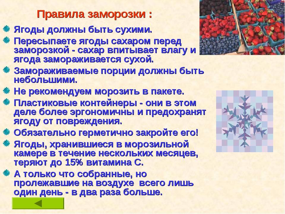 Каких заморозков не существуют. Правила заморозки. Правило заморозки. Способы замораживания плодов и овощей. Правила заморозки овощей.