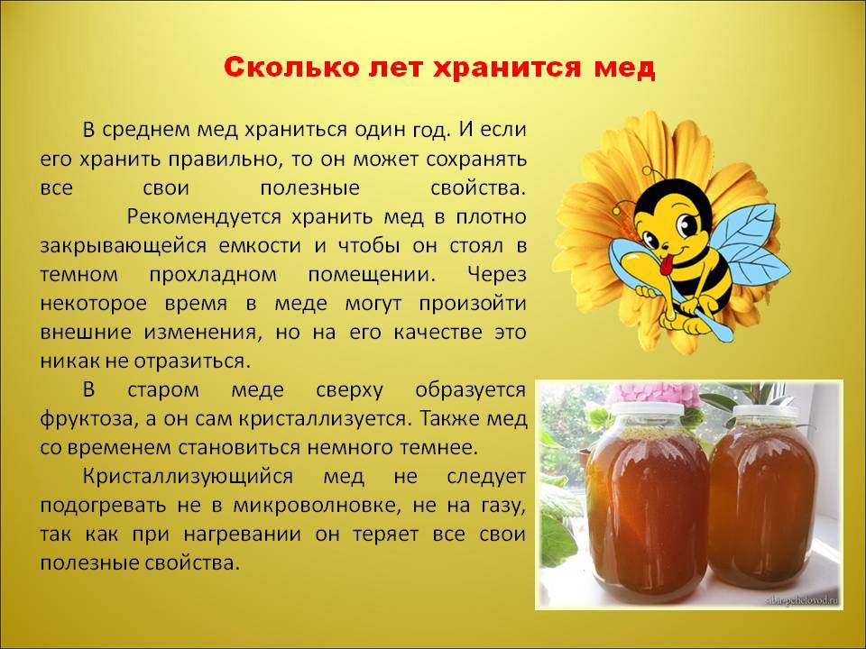 Как хранить мед — 5 советов по срокам, температуре и месте, которые не дадут ему испортиться
