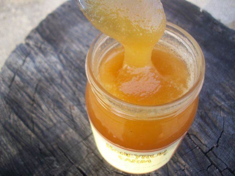 Как растопить мёд не теряя полезных свойств. все способы - медовый сундучок