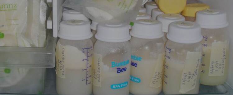 Как измерить жирность молока в домашних условиях