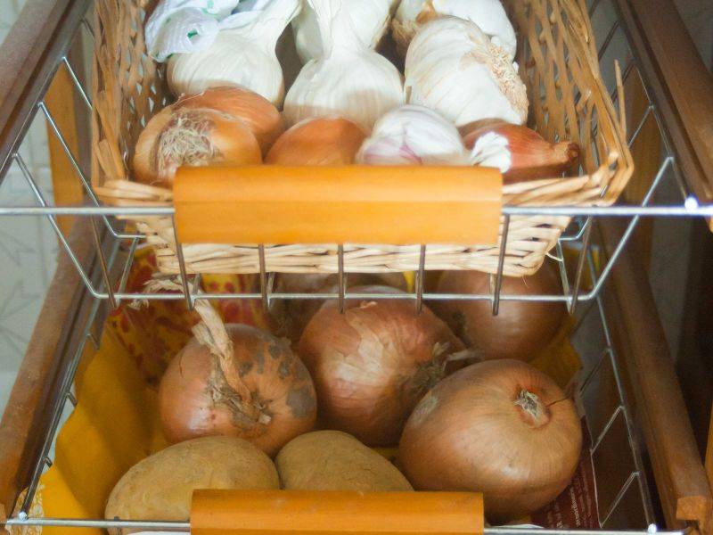 Мыть или не мыть: как подготовить зеленый лук к длительному хранению в холодильнике и надолго сберечь его свежесть — фазенда