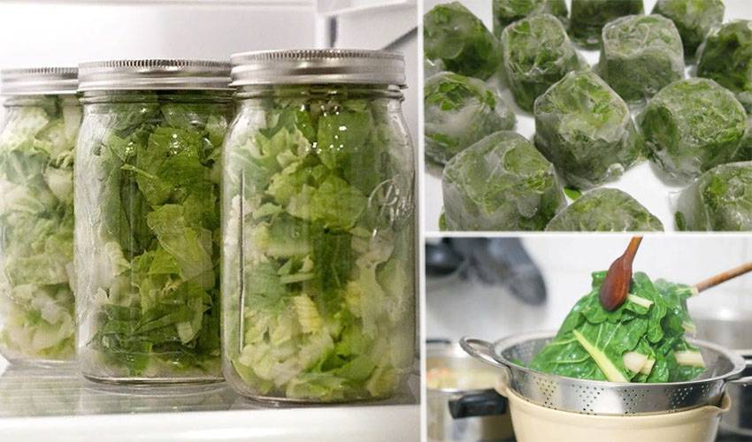 Мыть или не мыть: как подготовить зеленый лук к длительному хранению в холодильнике и надолго сберечь его свежесть