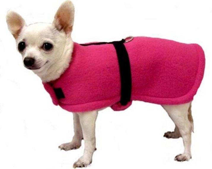 Выкройка комбинезона для собаки удобный покрой для девочки и мальчика, как сшить комбинезон для собаки, одежда для маленьких собак