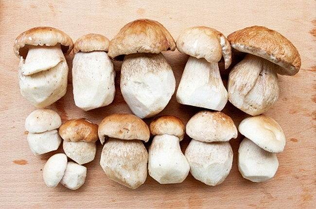 Как заморозить белые грибы на зиму