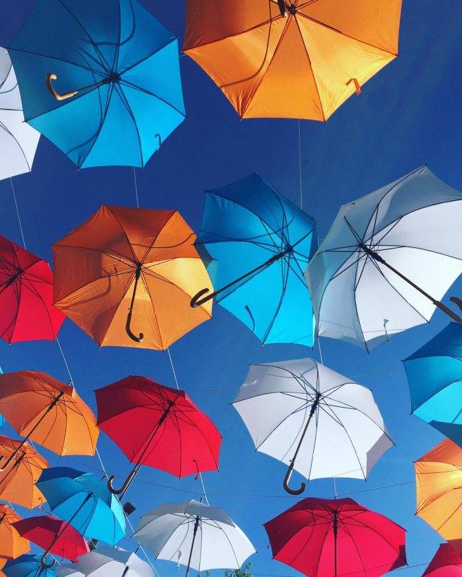Как правильно сушить зонт после дождя: почему нельзя в раскрытом виде