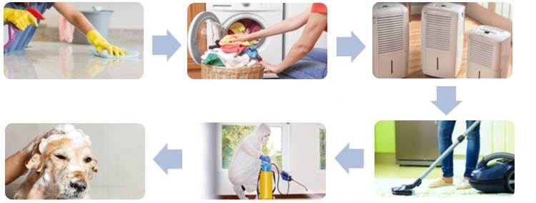 Топ-8 способов как избавиться от блох в доме: химическими препаратами, а также проверенными народными средствами | (фото & видео) +отзывы