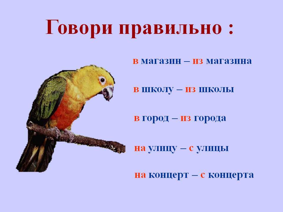 Как научиться говорить красиво, правильно, грамотно, культурно, быстро, по-русски, выражать свои мысли.