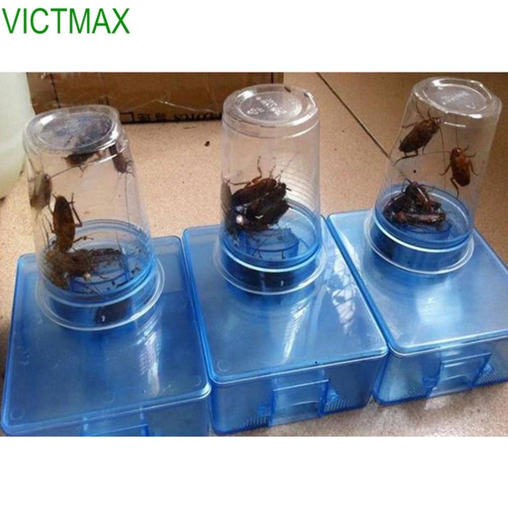 Как изготовить простые и эффективные ловушки для тараканов своими руками – stroim24.info