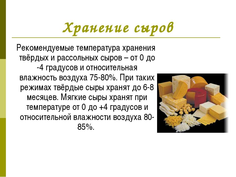 Как сохранить сыр в холодильнике долго свежим: советы (фото)
