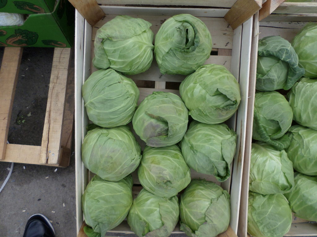 Как хранить брюссельскую капусту на зиму? подготовка и способы хранения вилков