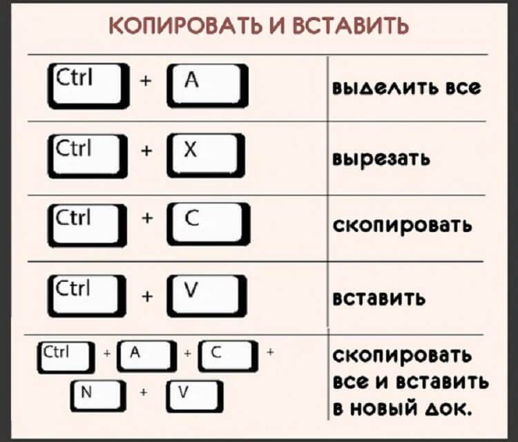 ✅ как копировать и вставить текст с помощью клавиатуры - wind7activation.ru